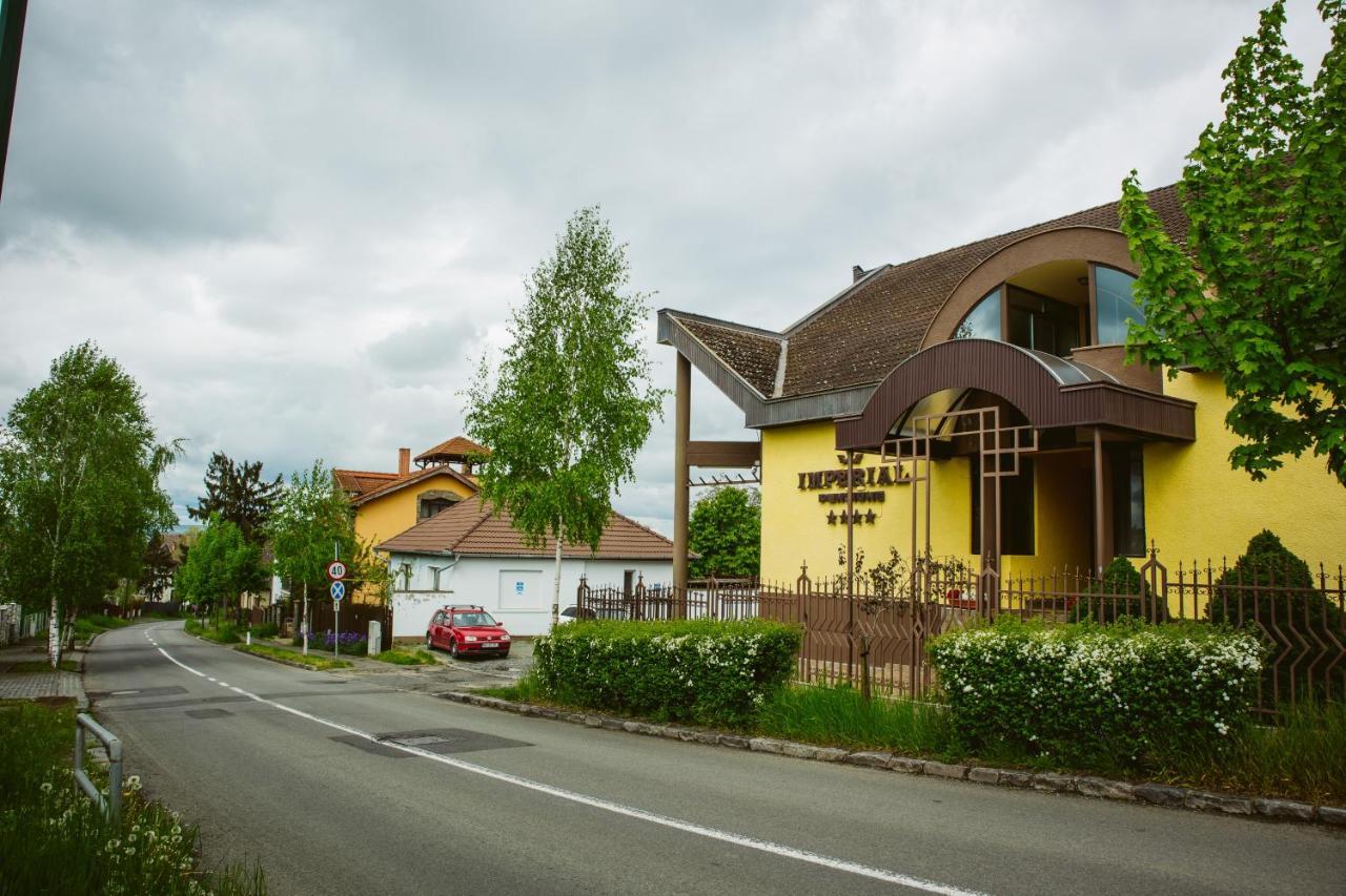 Hotel Pensiunea Imperial Târgu-Mureş Zewnętrze zdjęcie